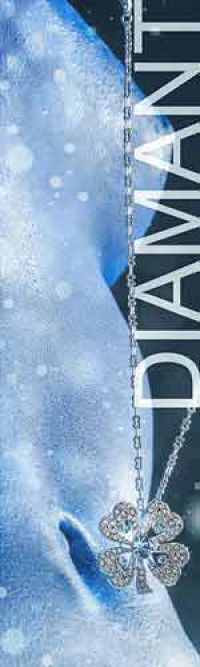 Status Diamant - Honorarübersicht Escort Leipzig Status Diamant - Honorarübersicht Escort Leipzig