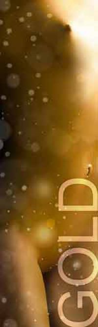 Status Gold - Honorarübersicht Escort Leipzig Status Gold - Honorarübersicht Escort Leipzig